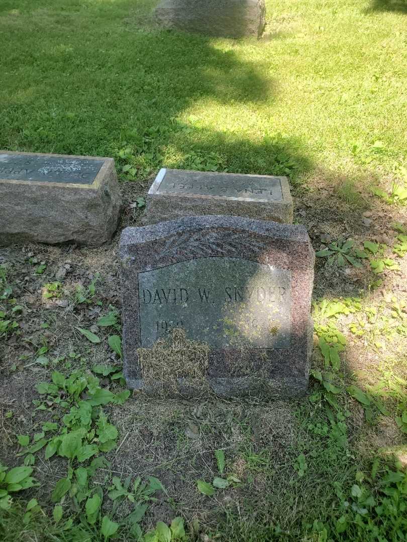 David W. Snyder's grave. Photo 2