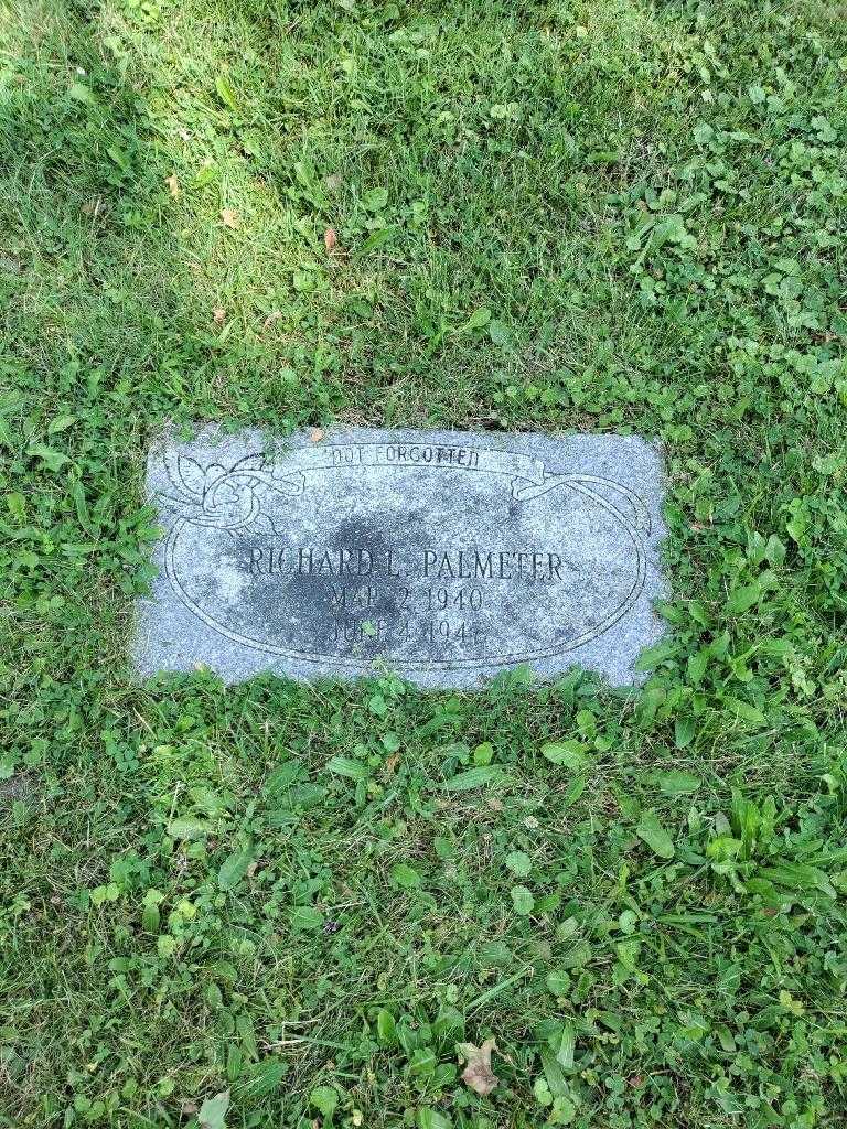 Richard L. Palmeter's grave. Photo 2