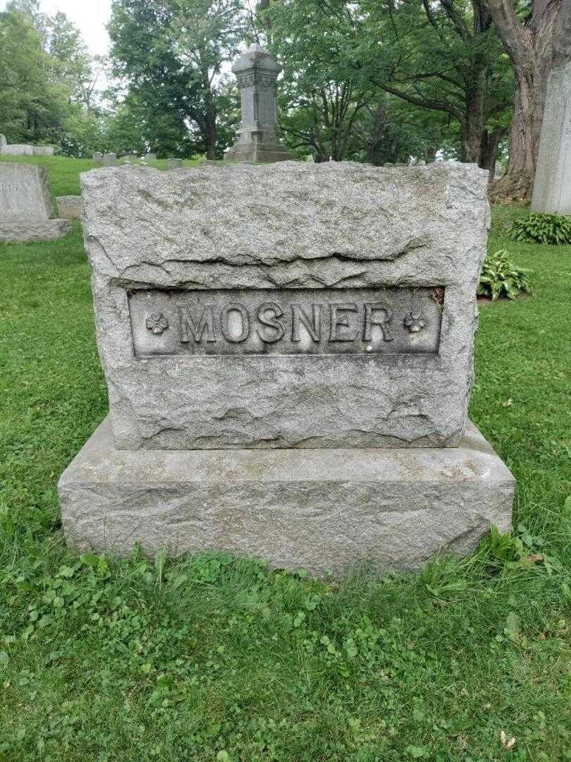 George Mosner's grave. Photo 4