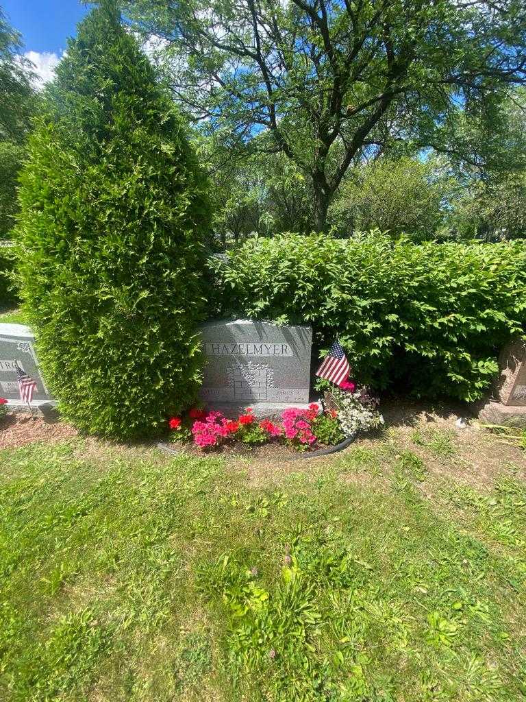 James A. Hazelmyer's grave. Photo 2