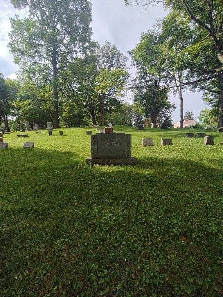 Earl H. Arnold's grave. Photo 1