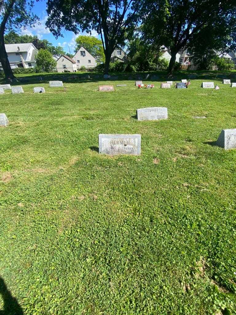 Henry С. Hermle's grave. Photo 1