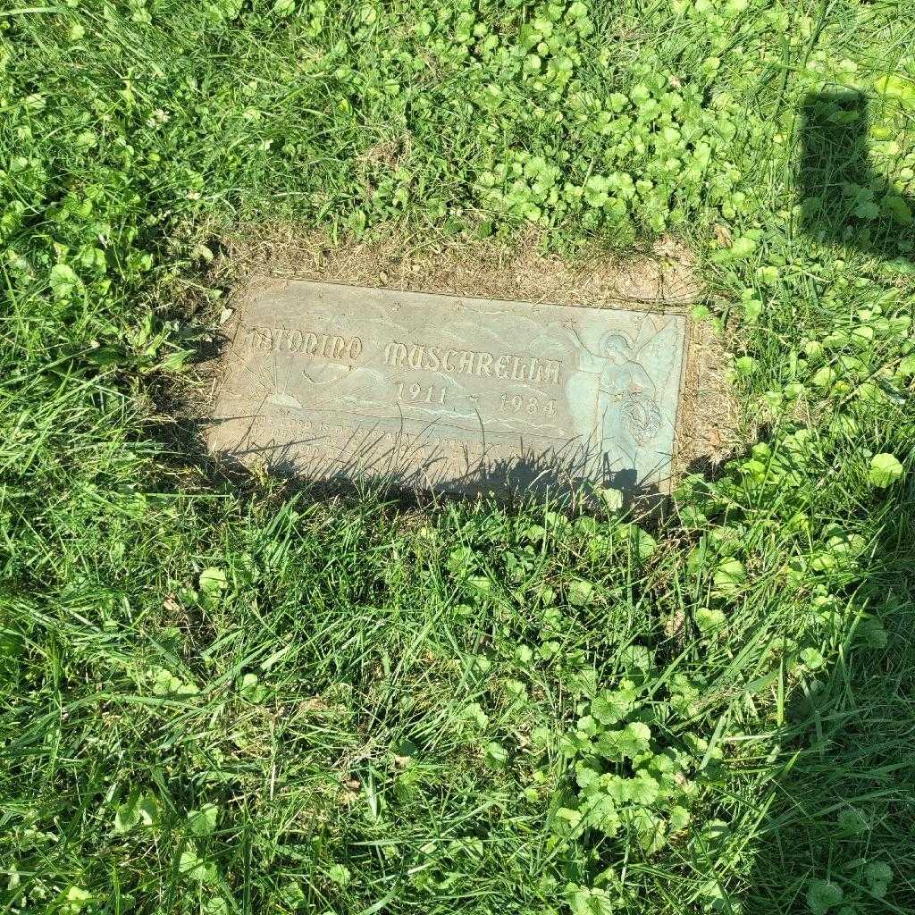 Antonino Muscarella's grave. Photo 2