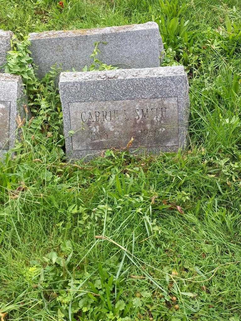 Carrie L. Smith's grave. Photo 2