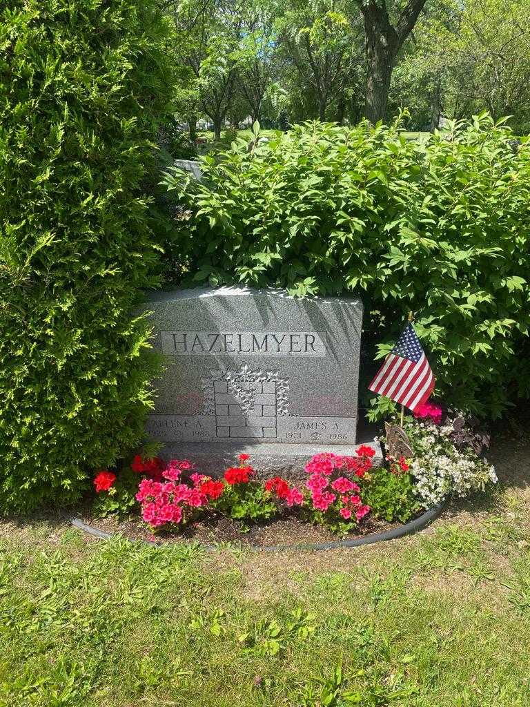James A. Hazelmyer's grave. Photo 3