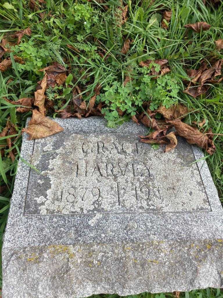 Grace Harvey's grave. Photo 3