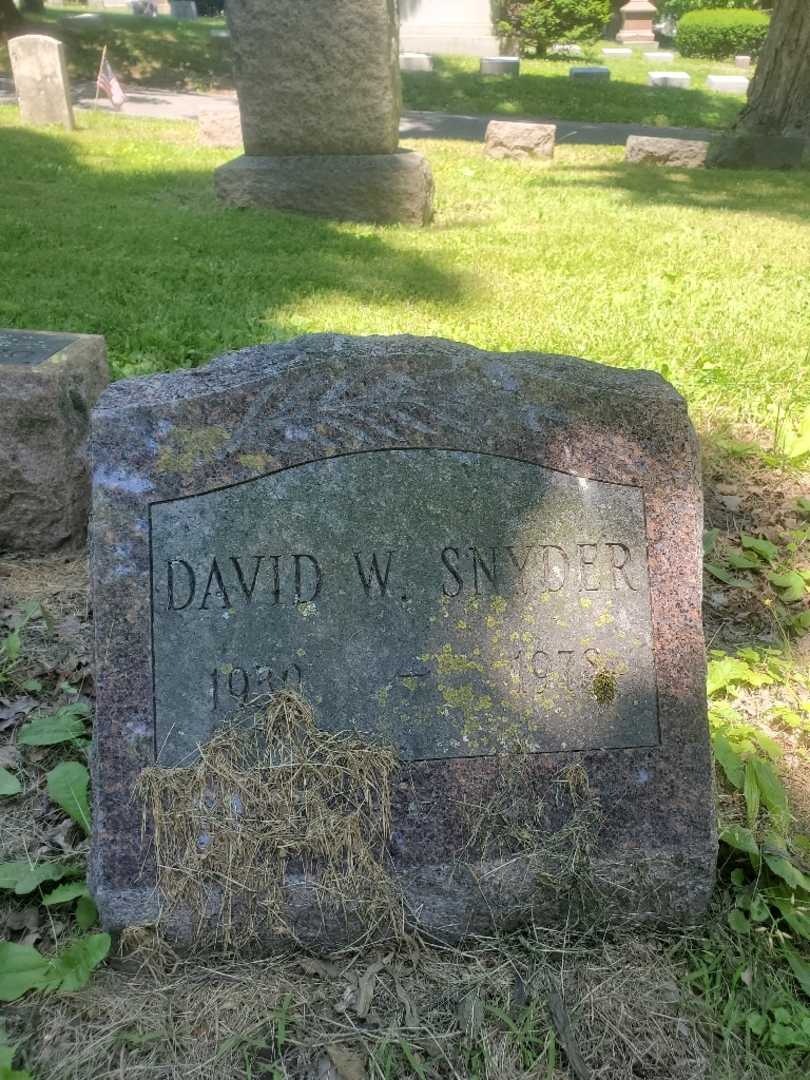 David W. Snyder's grave. Photo 3