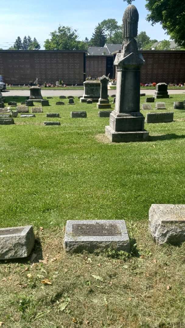 Harry M. Rowe's grave. Photo 2
