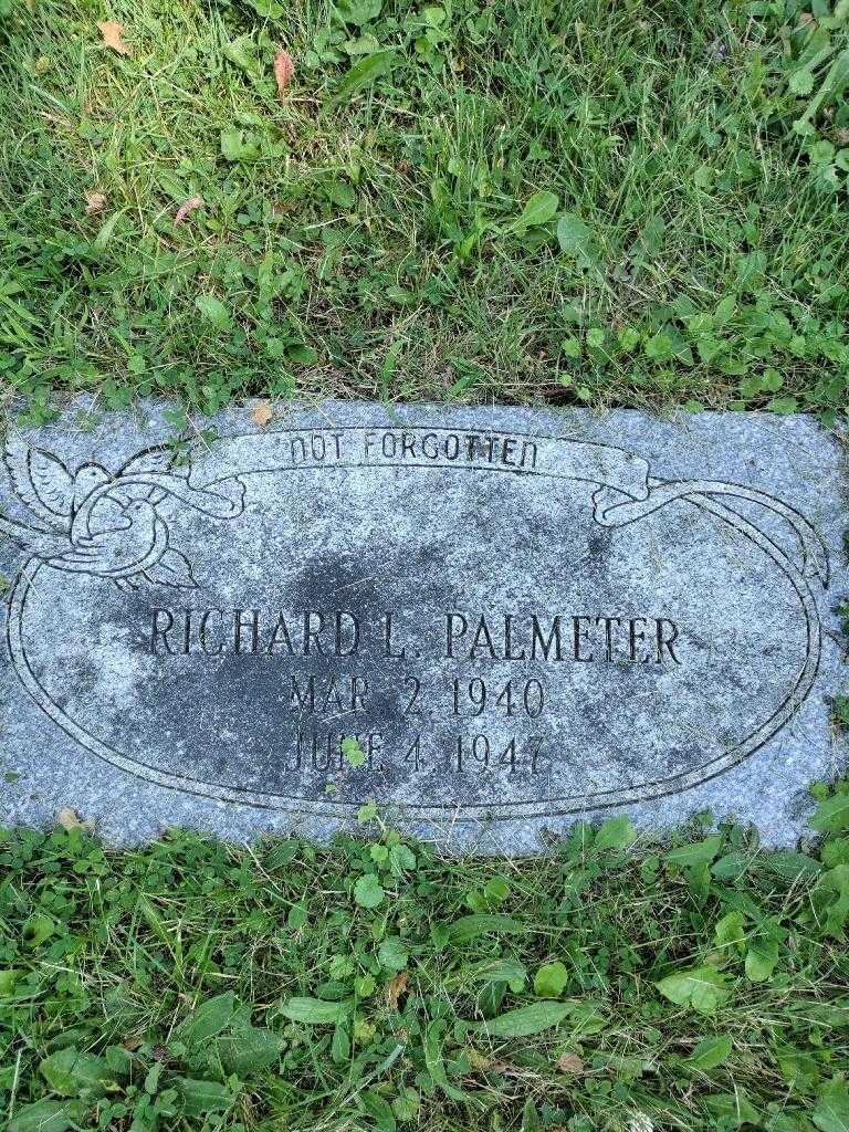 Richard L. Palmeter's grave. Photo 3