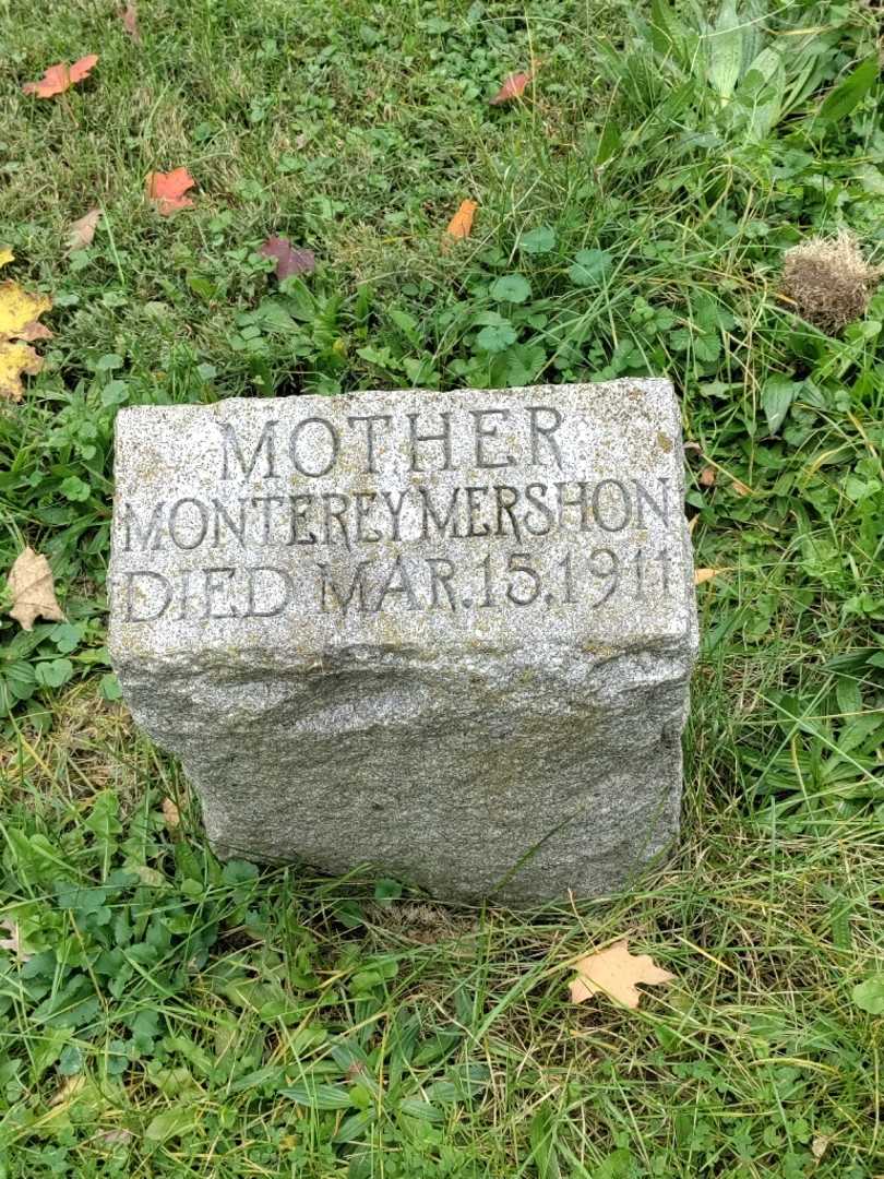 Monterey Mershon's grave. Photo 3