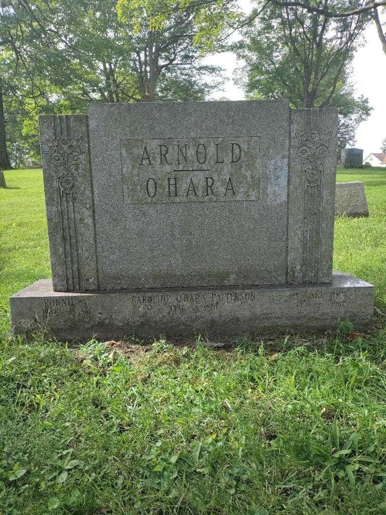 Earl H. Arnold's grave. Photo 2