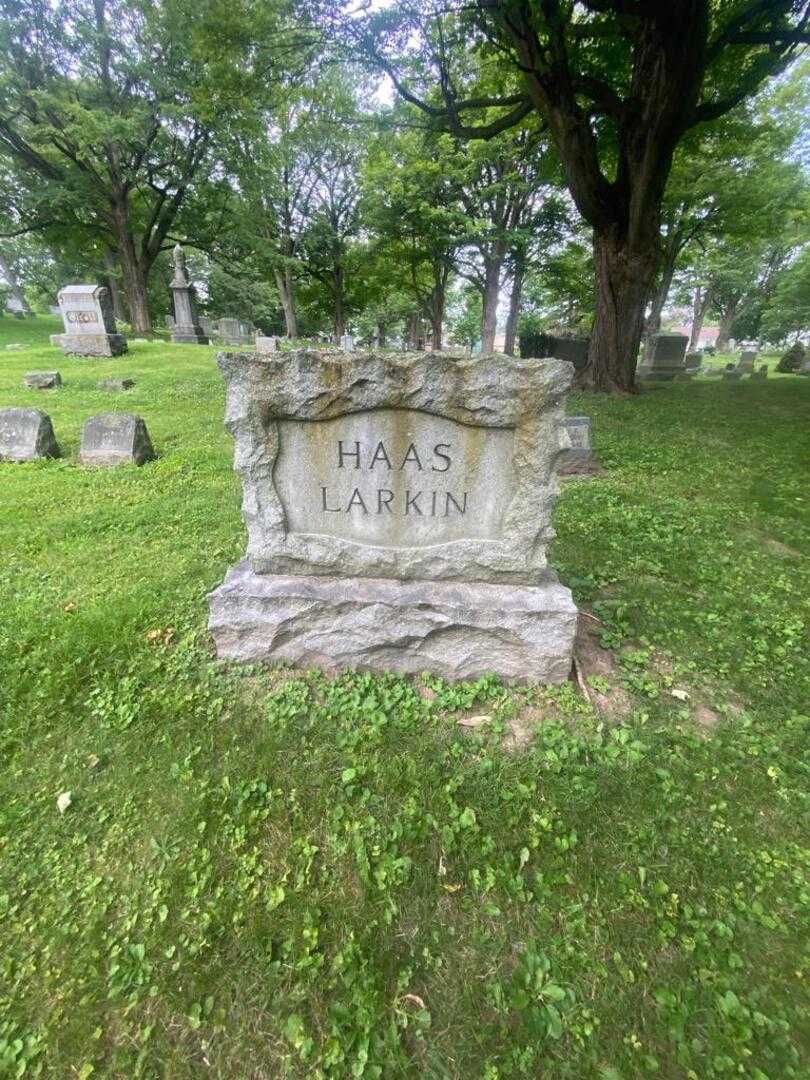 Herbert J. Haas Junior's grave. Photo 4