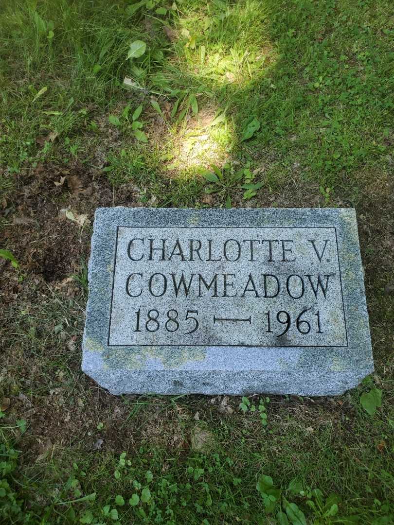 Charlotte V. Cowmeadow Dungey's grave. Photo 4