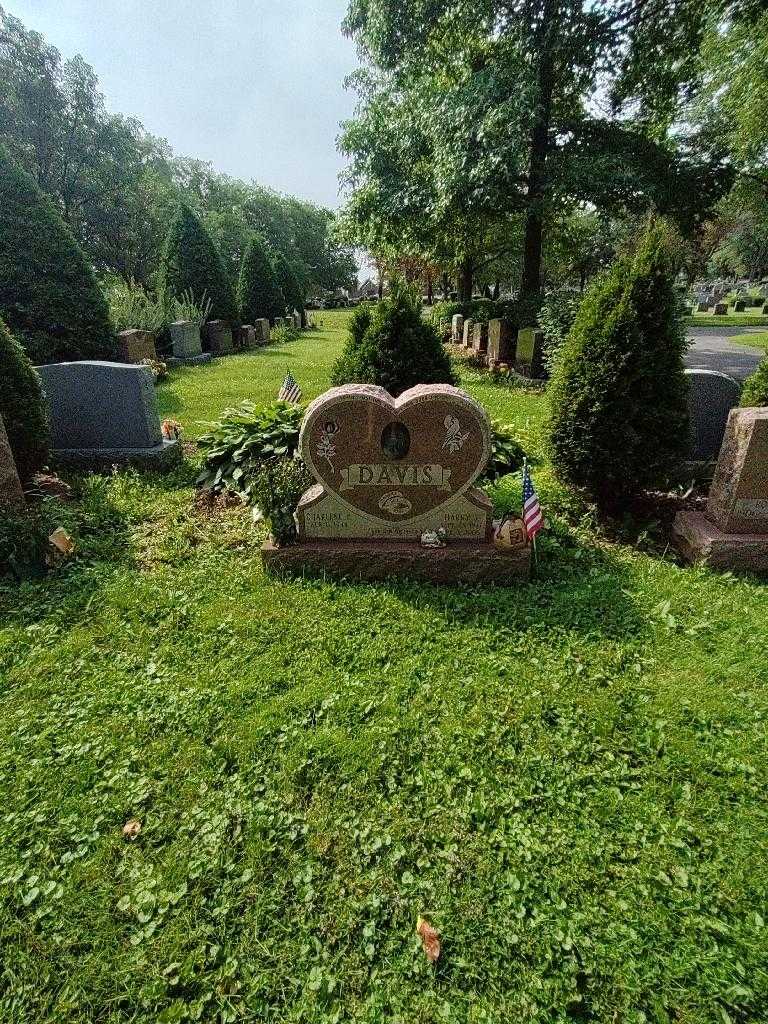 Harry J. Davis's grave. Photo 1