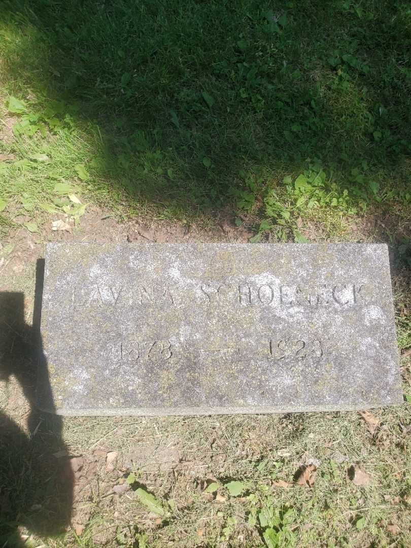 Lavinia W. H. Schoeneck's grave. Photo 3