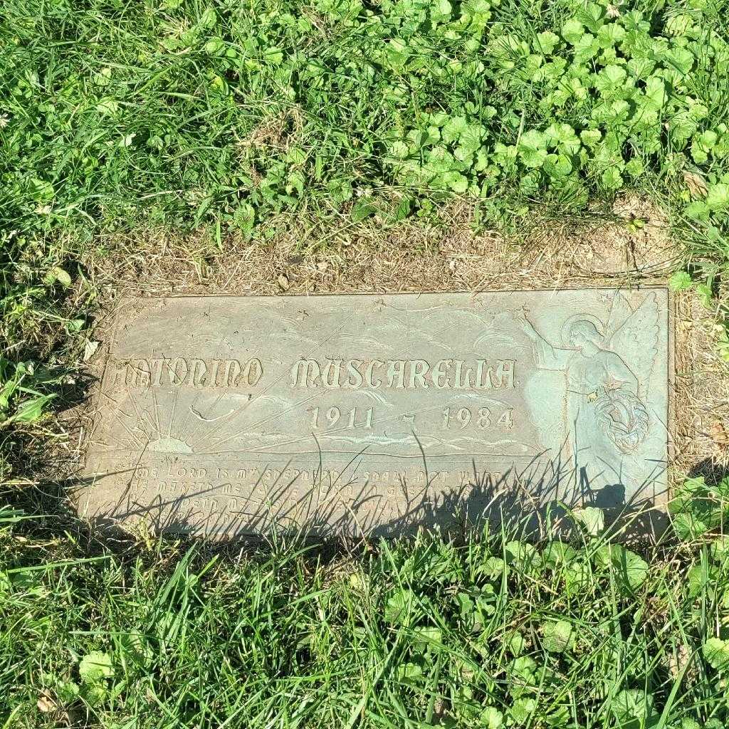 Antonino Muscarella's grave. Photo 3