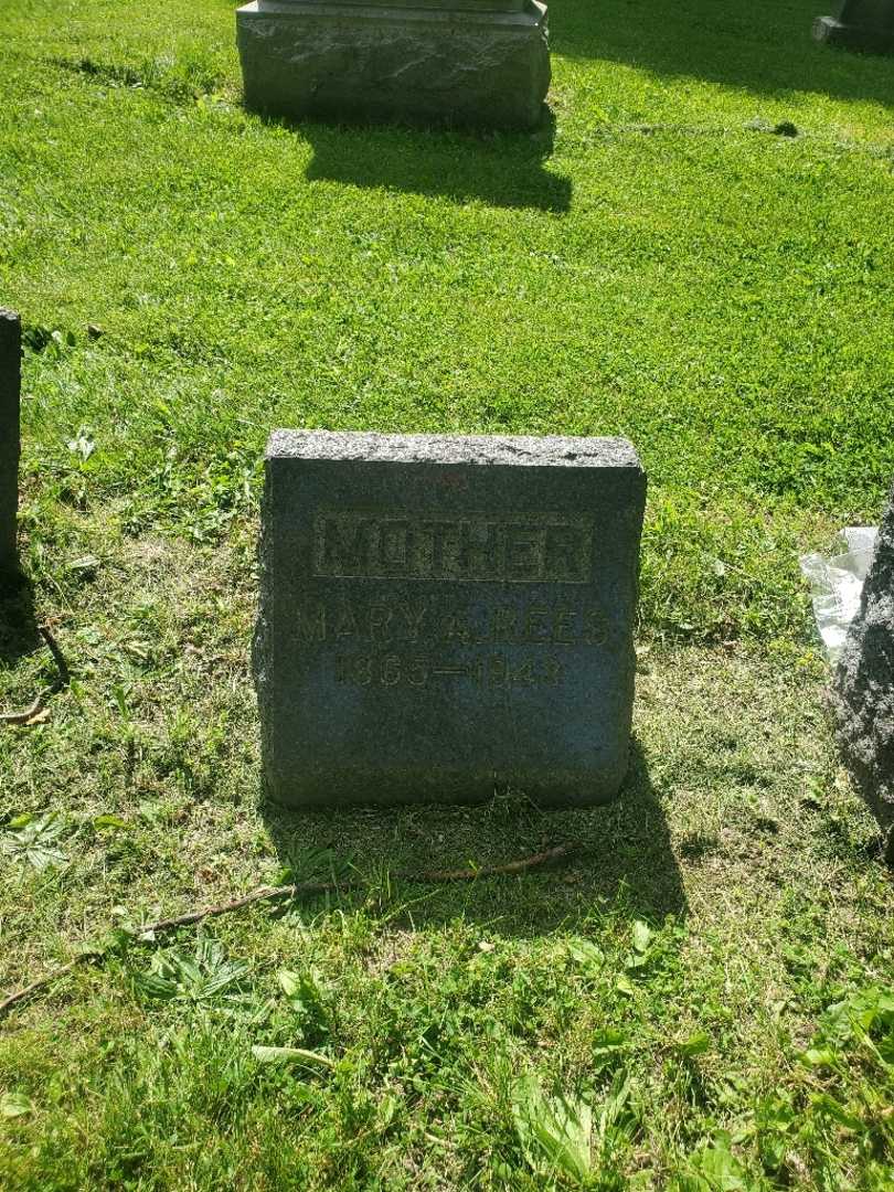 Mary A. Rees's grave. Photo 3