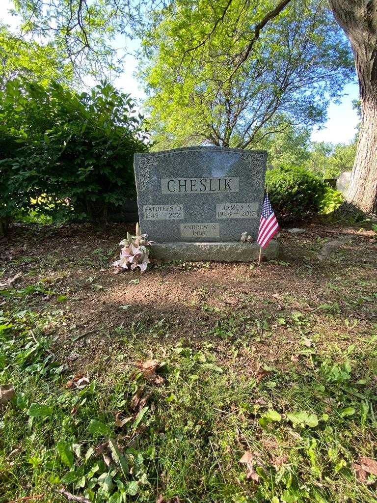 Andrew S. Cheslik's grave. Photo 1