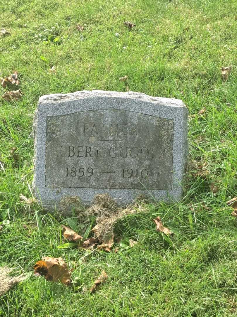 Albert Gugolz's grave. Photo 3