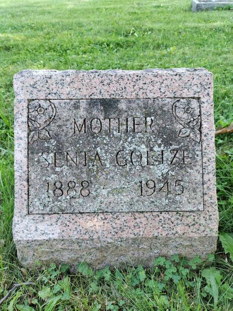 Senta A. Goetze's grave. Photo 3