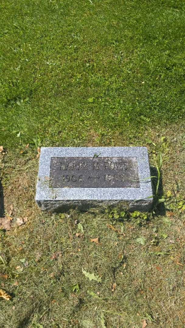 Harry M. Rowe's grave. Photo 3