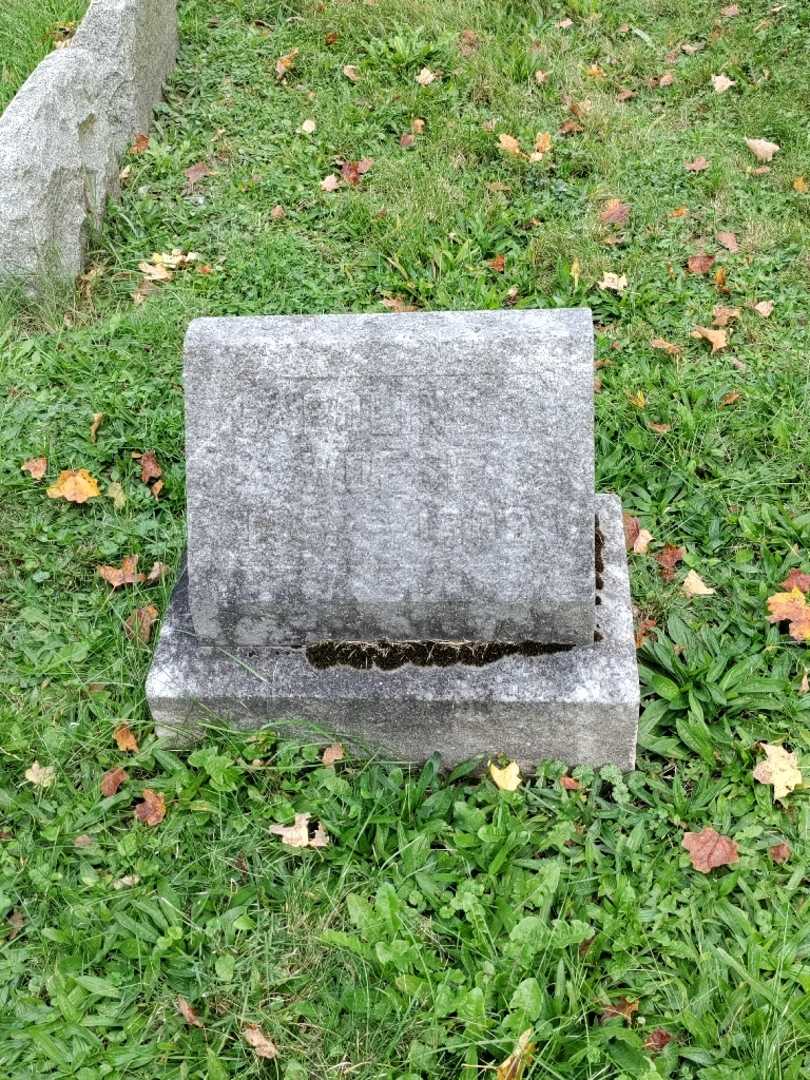 Caroline S. Woese's grave. Photo 2