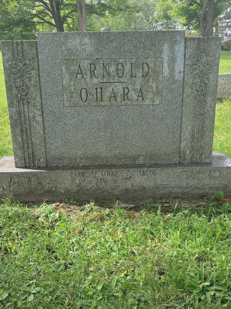 Earl H. Arnold's grave. Photo 3