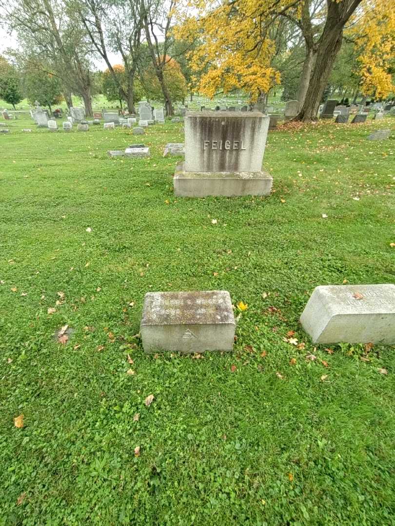 George C. Feigel's grave. Photo 1