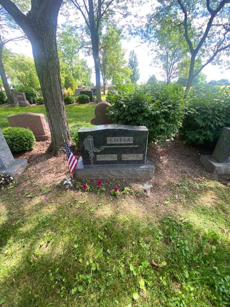 Celia M. Sofia's grave. Photo 1