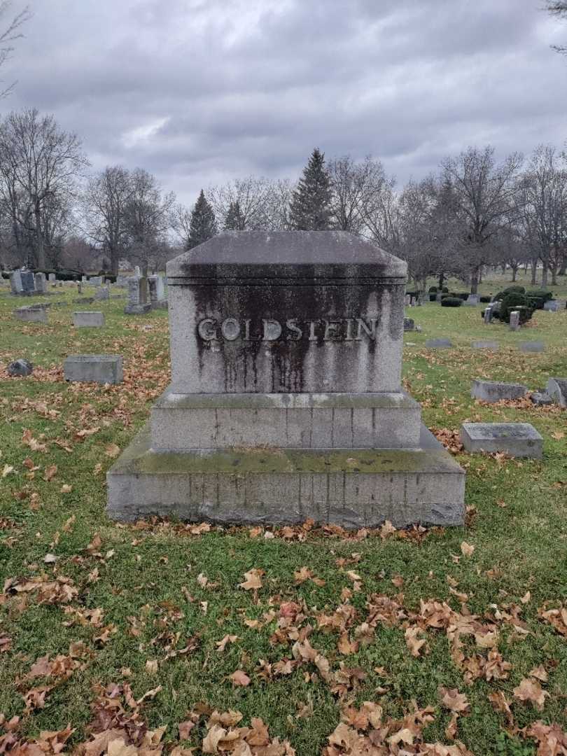 Phoebe Goldstein's grave. Photo 4
