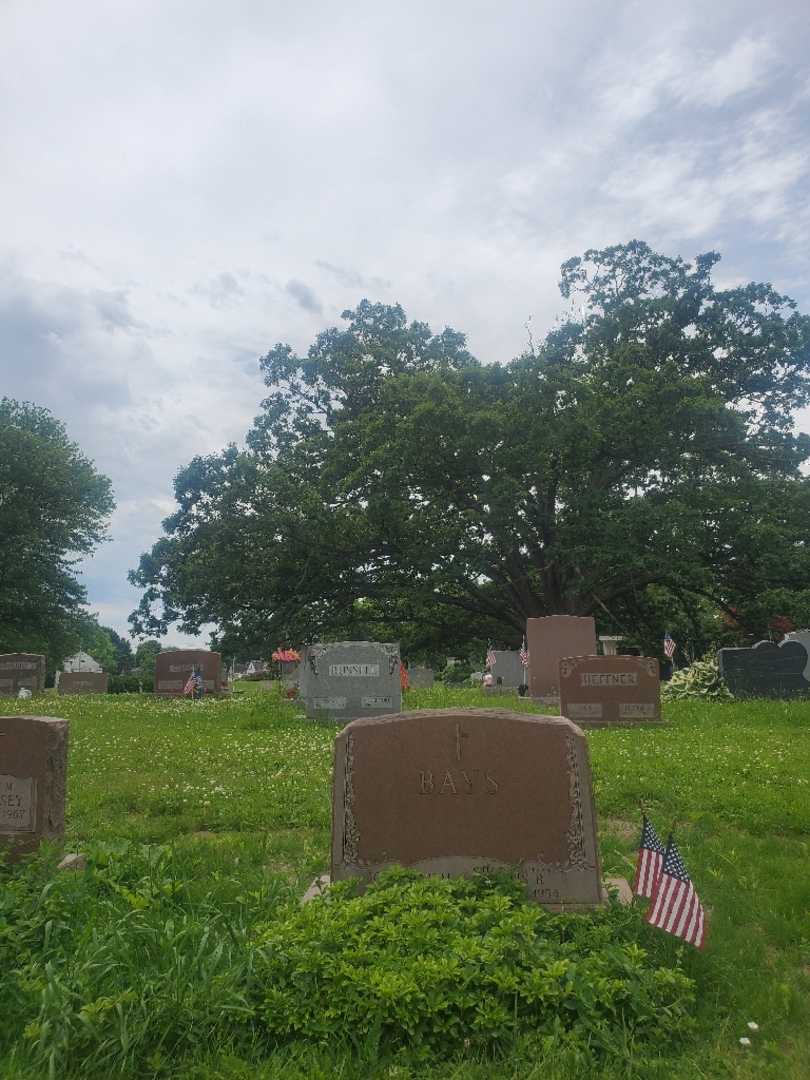 Lewis B. Bays's grave. Photo 1