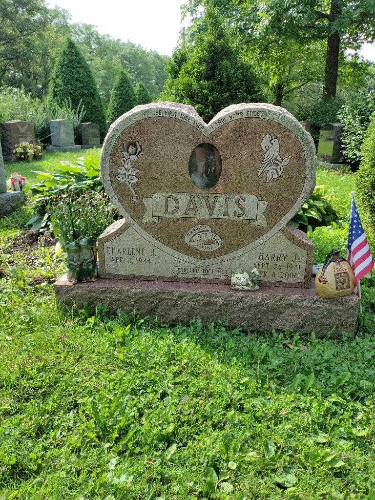 Harry J. Davis's grave. Photo 2