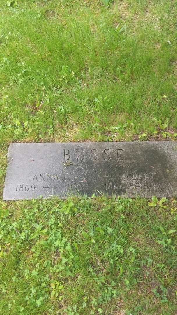 Albert Busse Senior's grave. Photo 3
