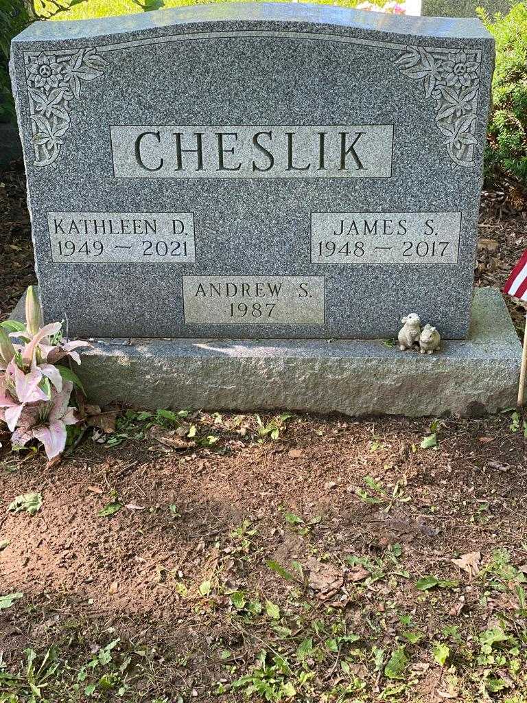 Andrew S. Cheslik's grave. Photo 3