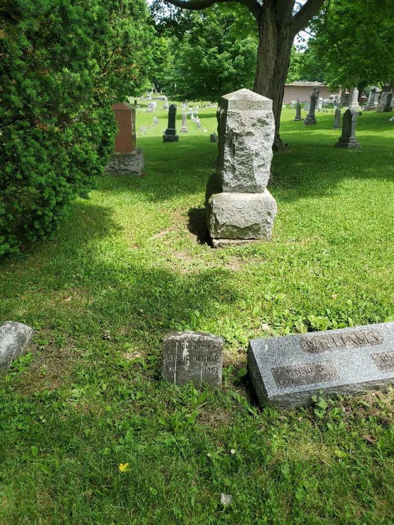 Marie Blinde's grave. Photo 2