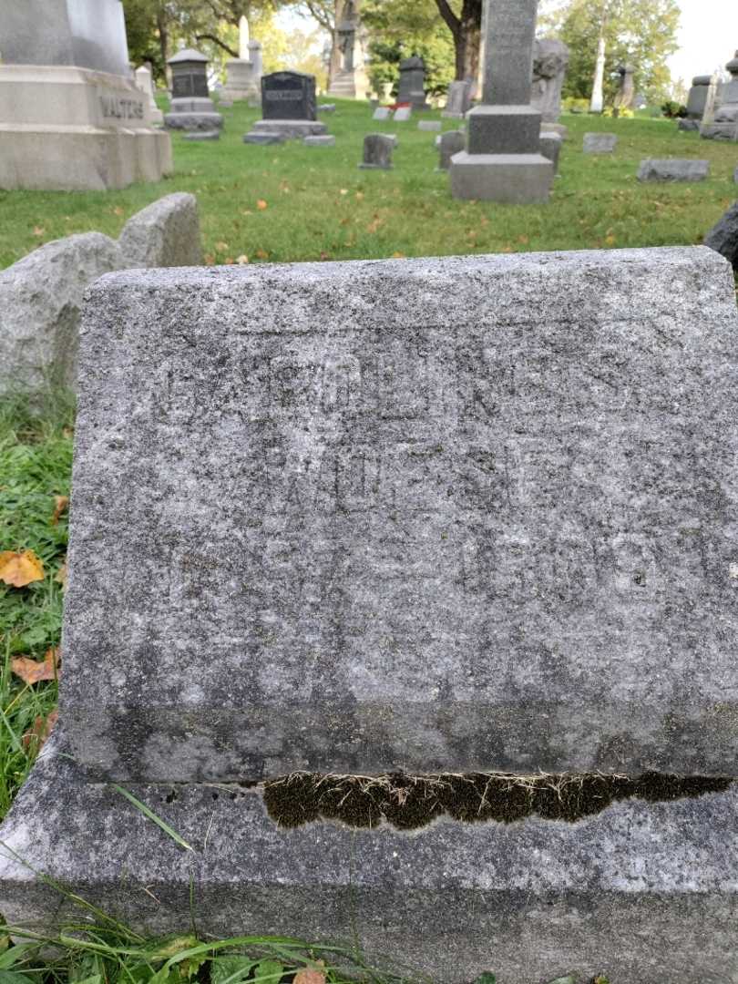 Caroline S. Woese's grave. Photo 3