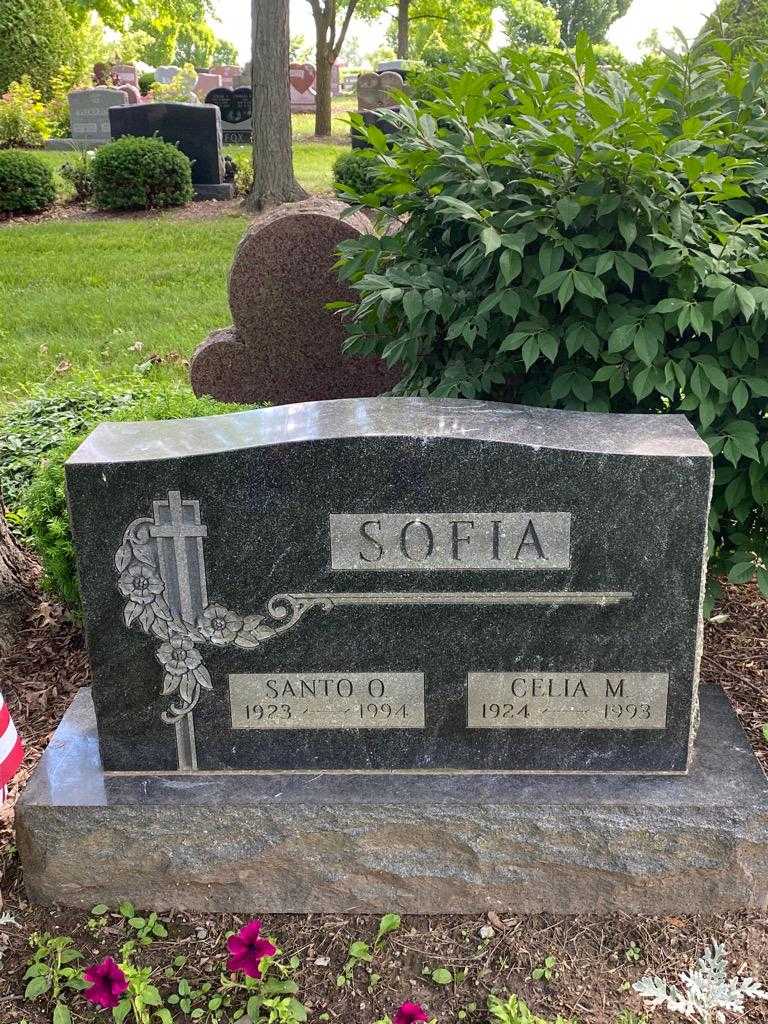 Santo O. Sofia's grave. Photo 1