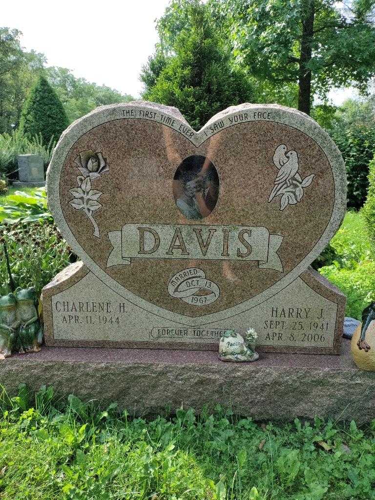 Harry J. Davis's grave. Photo 3