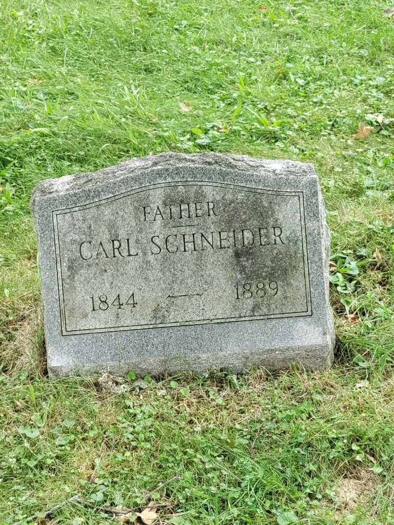 Carl Schneider's grave. Photo 3