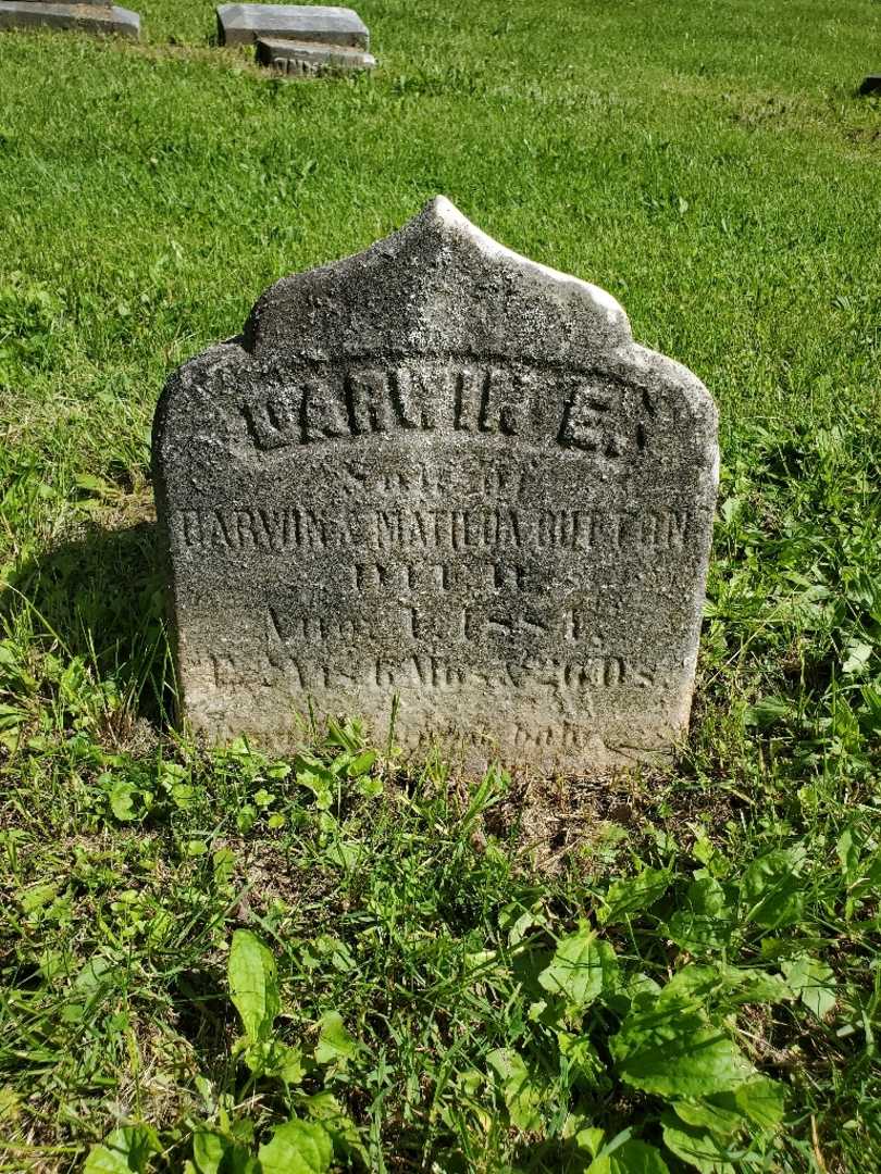 Darwin Edwin Button's grave. Photo 4