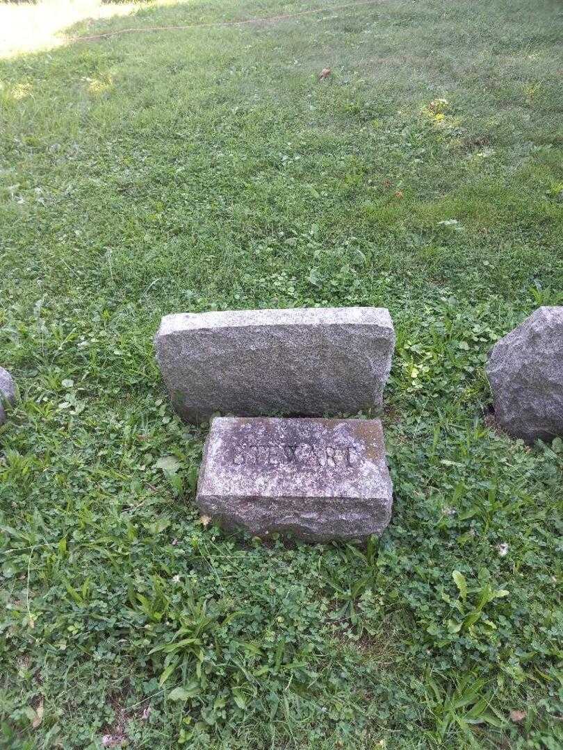 William Stewart Beacham's grave. Photo 4