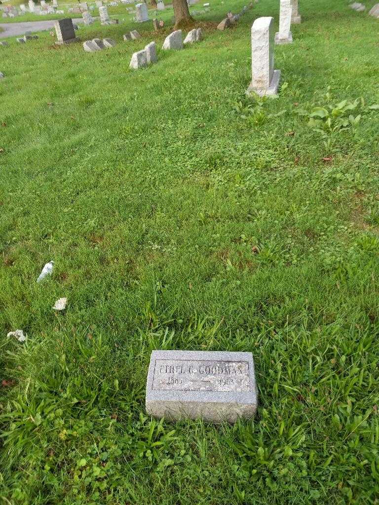 Ethel Greenfield Goodman's grave. Photo 3