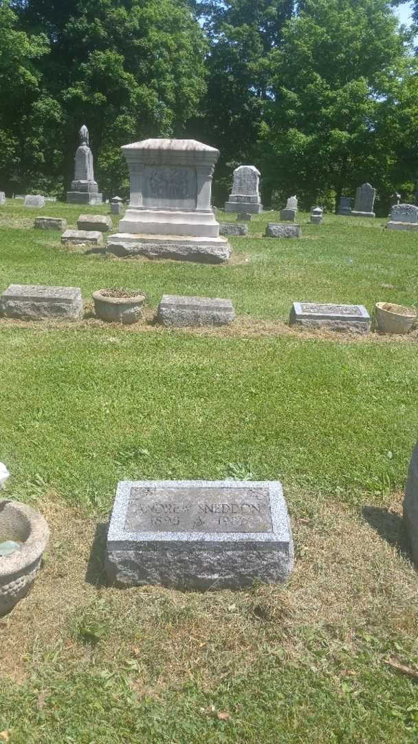 Andrew Sneddon's grave. Photo 2