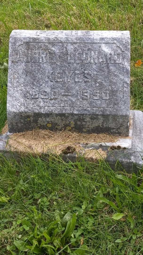 Aubrey Leonard Keyes's grave. Photo 3