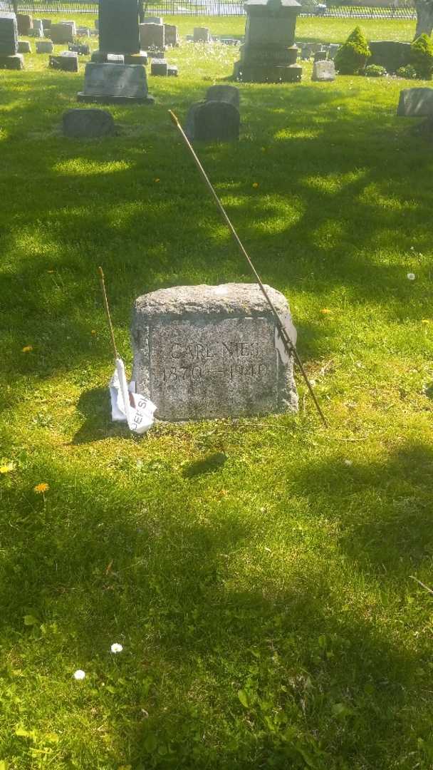 Carl Nies's grave. Photo 2