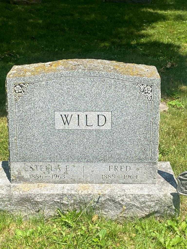 Estella E. Wild's grave. Photo 3