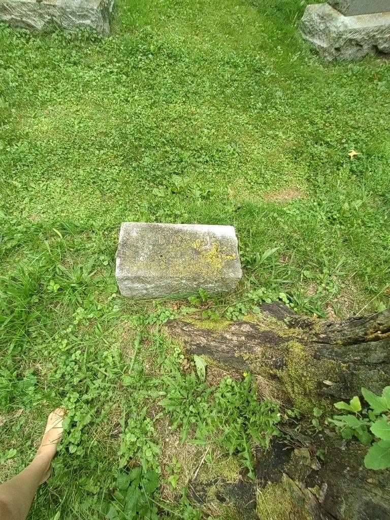 Edward Mcguigan's grave. Photo 1