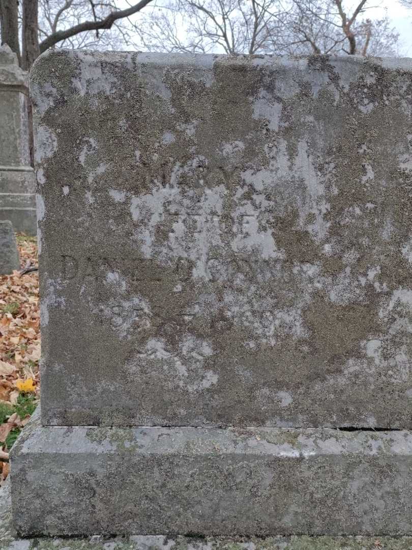 Mary O'Connor's grave. Photo 3