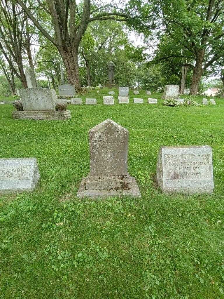 Gideon D. Williams's grave. Photo 1