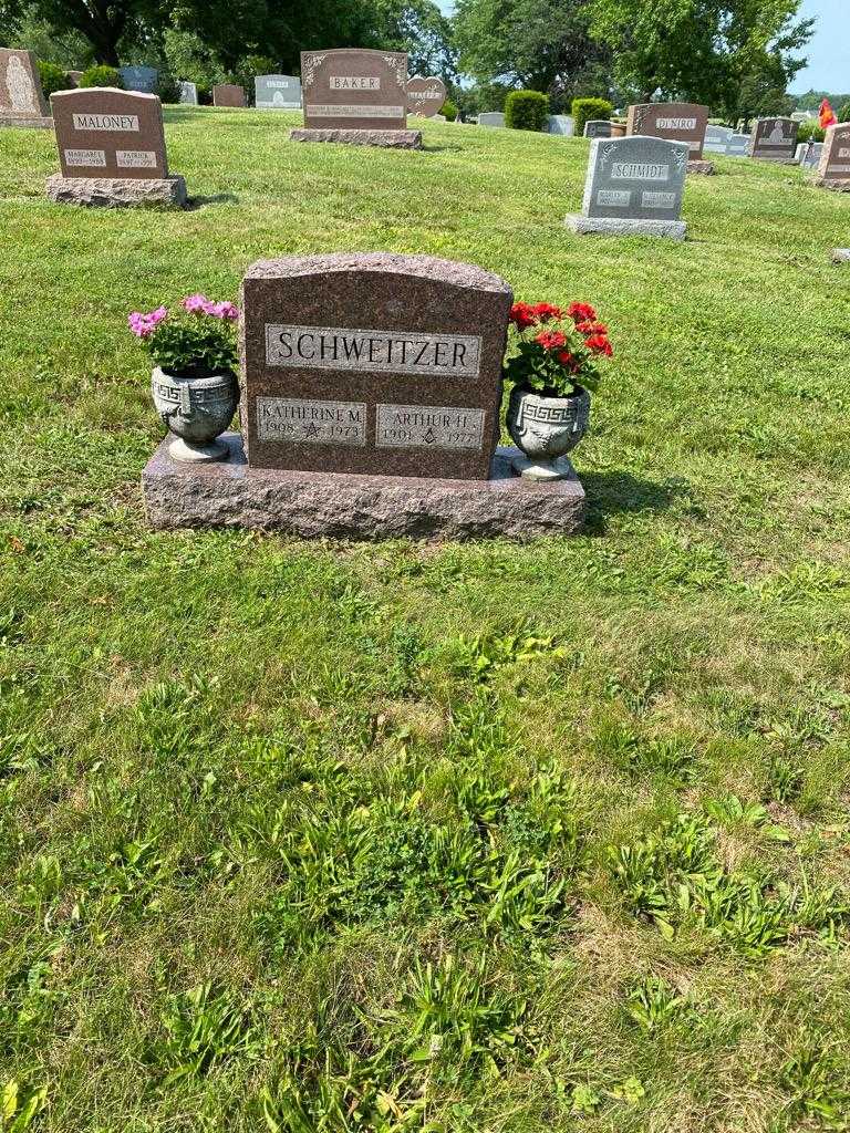 Arthur H. Schweitzer's grave. Photo 2